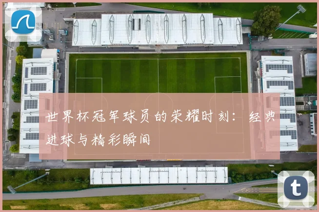 世界杯冠军球员的荣耀时刻：经典进球与精彩瞬间