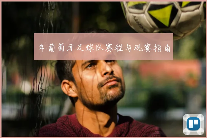 年葡萄牙足球队赛程与观赛指南