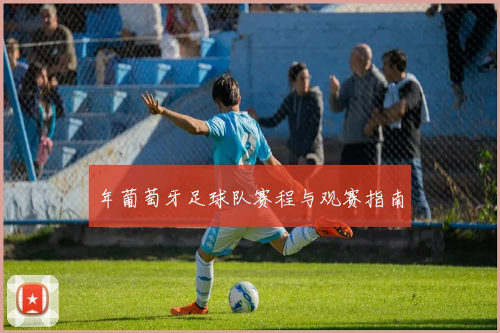 年葡萄牙足球队赛程与观赛指南