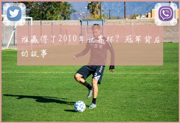 谁赢得了2010年世界杯？冠军背后的故事